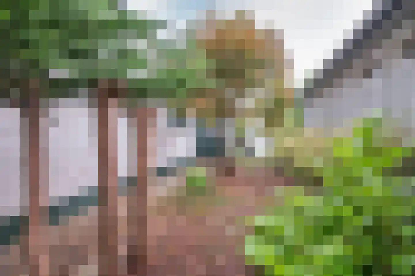 Uiterweg 274 Aalsmeer thumbnail 13