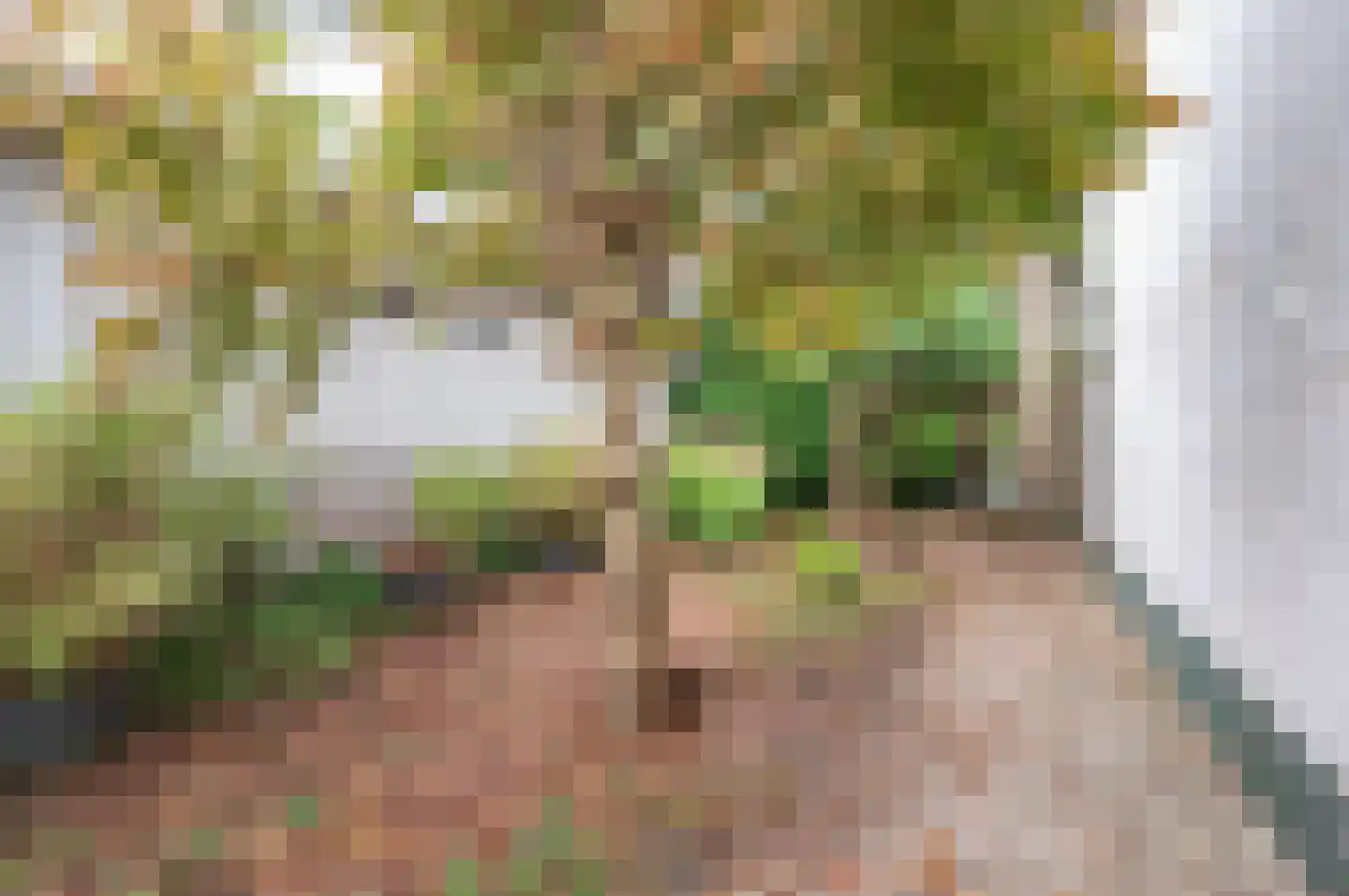 Uiterweg 274 Aalsmeer thumbnail 14
