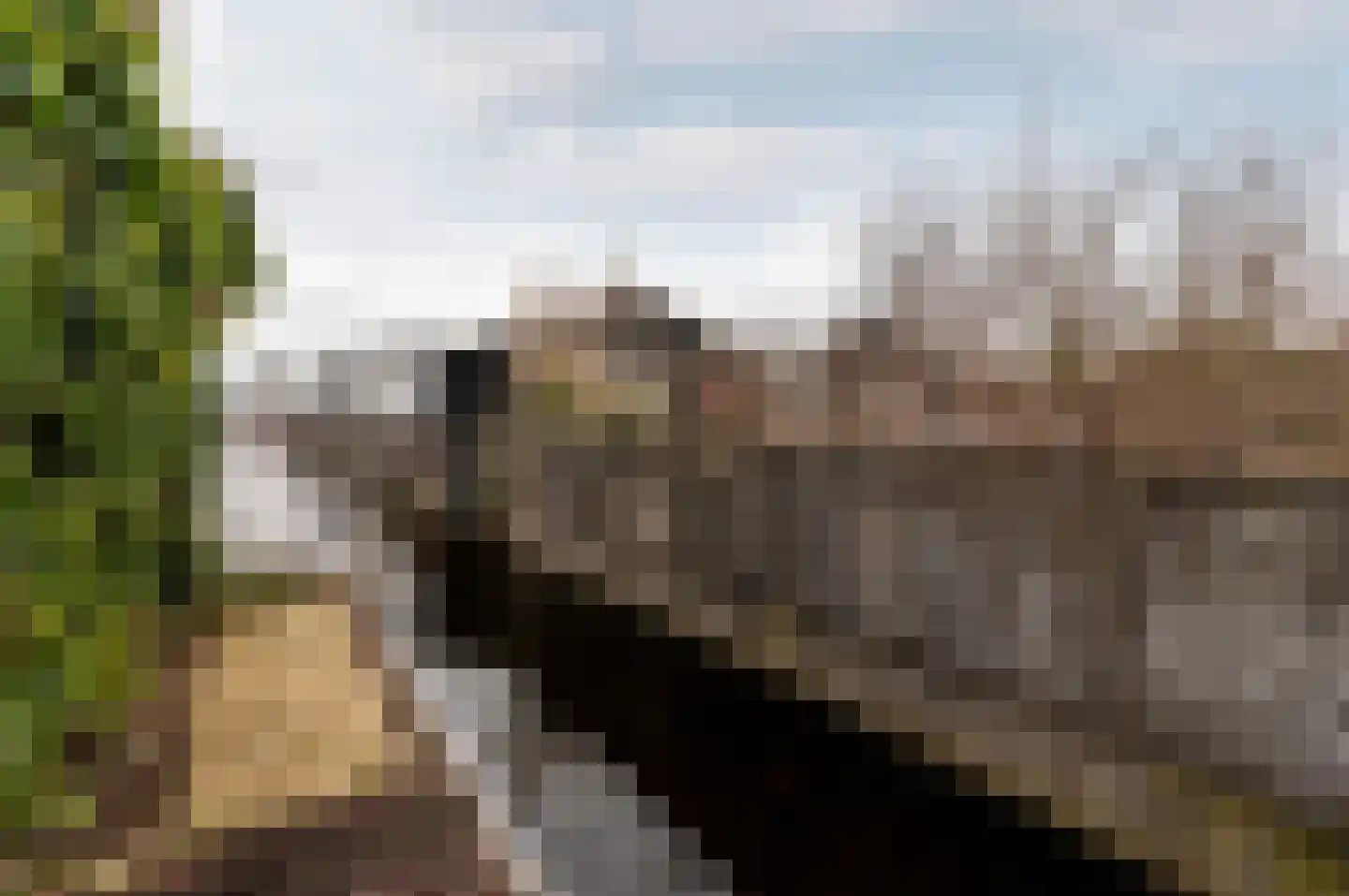 Uiterweg 274 Aalsmeer thumbnail 21