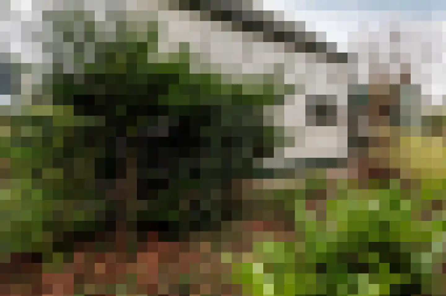 Uiterweg 274 Aalsmeer thumbnail 24