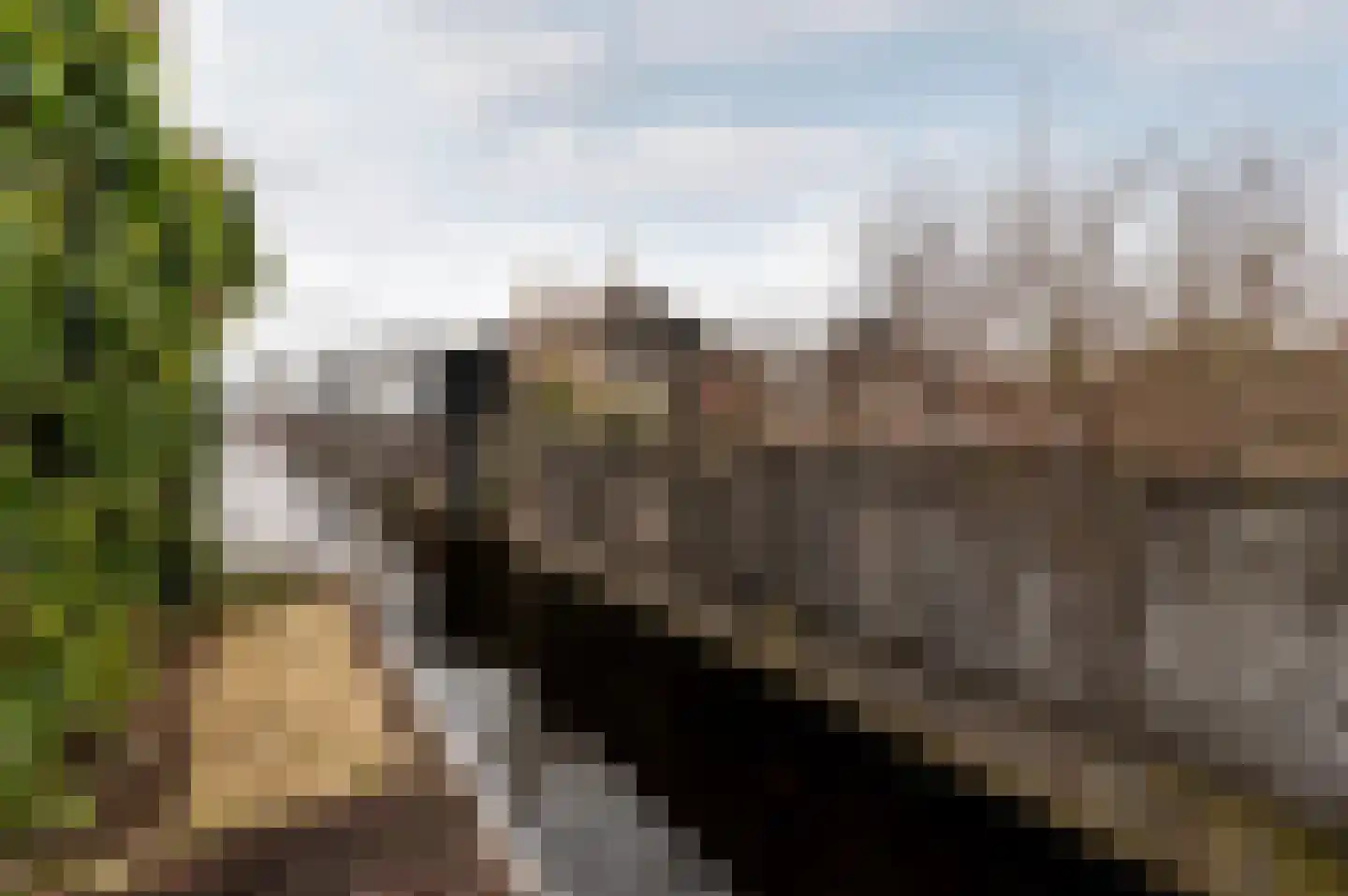 Uiterweg 274 Aalsmeer thumbnail 28