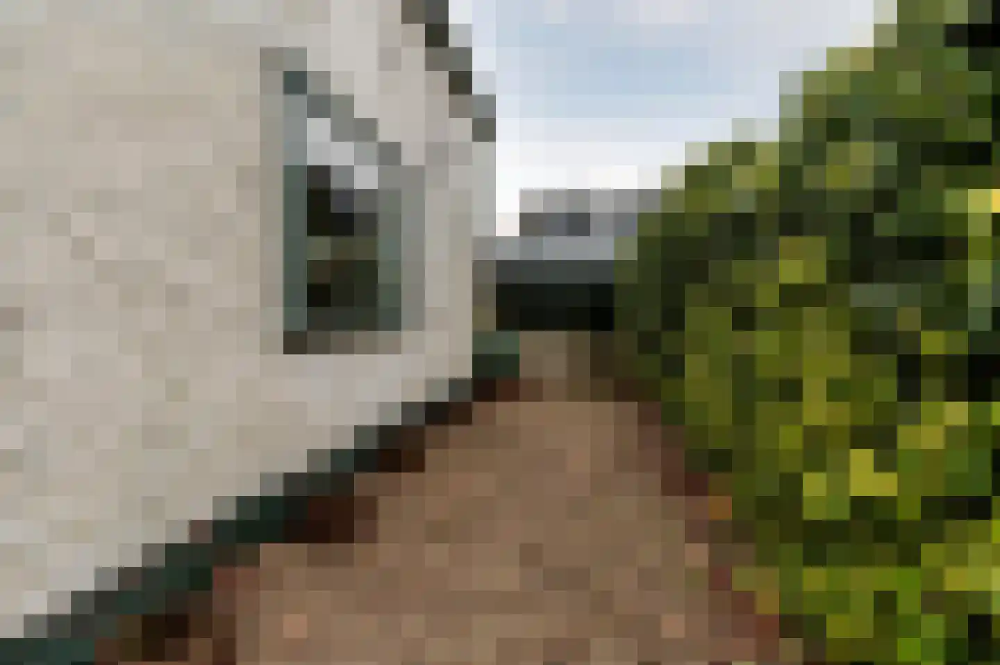Uiterweg 274 Aalsmeer thumbnail 47