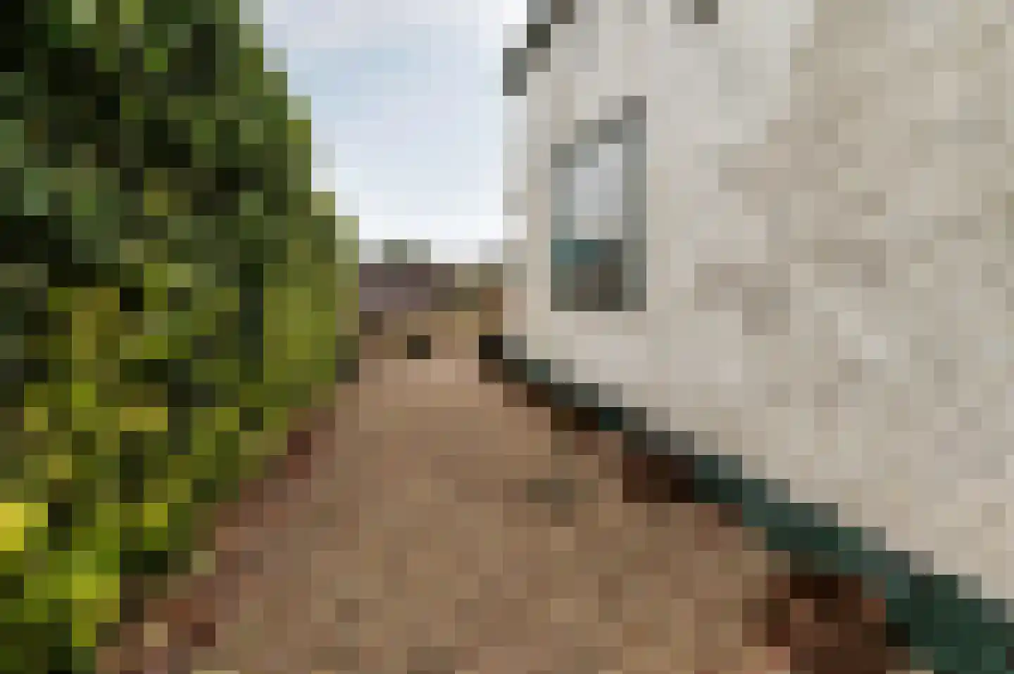 Uiterweg 274 Aalsmeer thumbnail 6