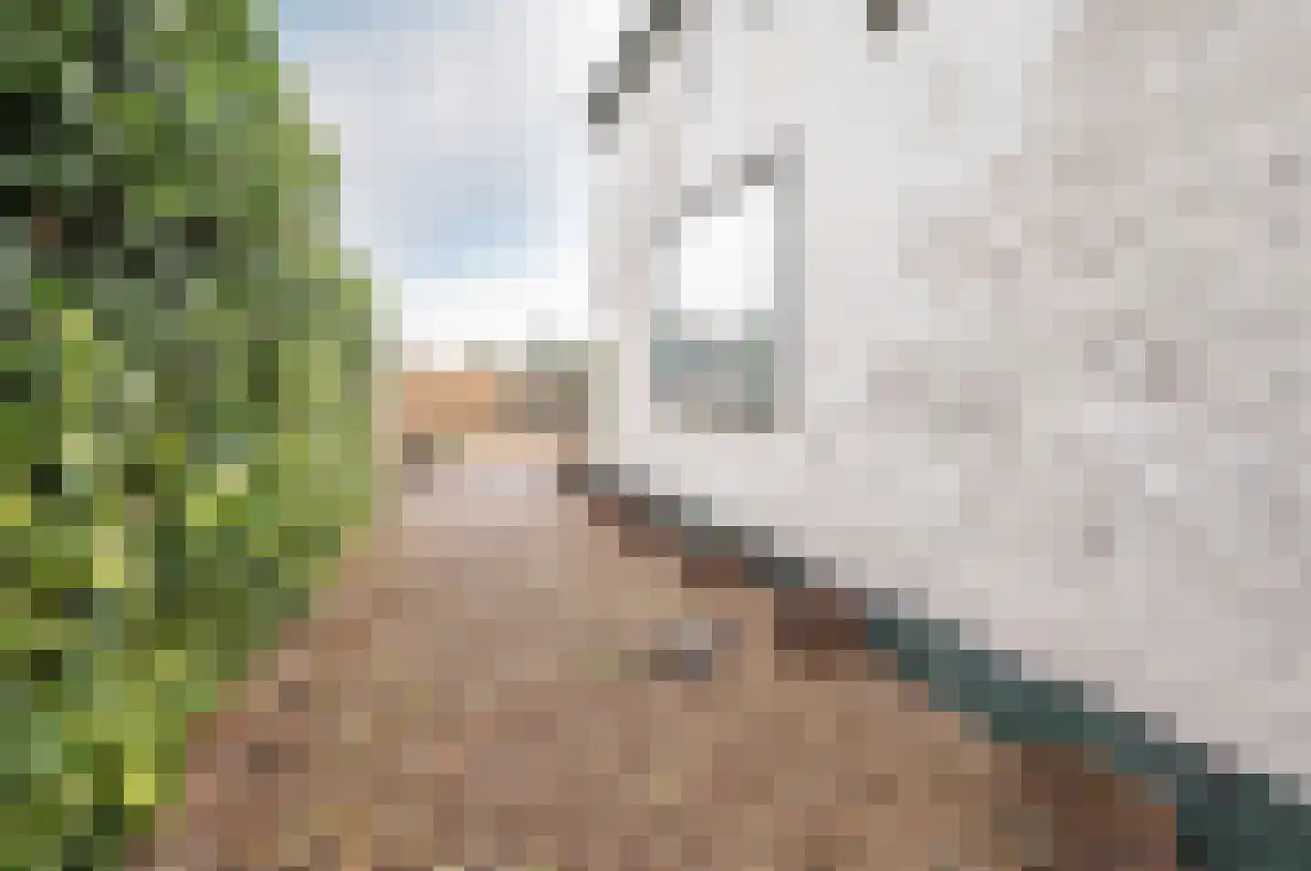 Uiterweg 274 Aalsmeer thumbnail 6