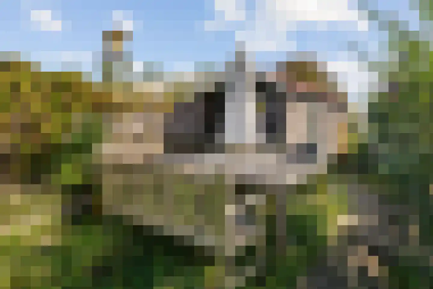 Uiterweg 287 Aalsmeer thumbnail 17