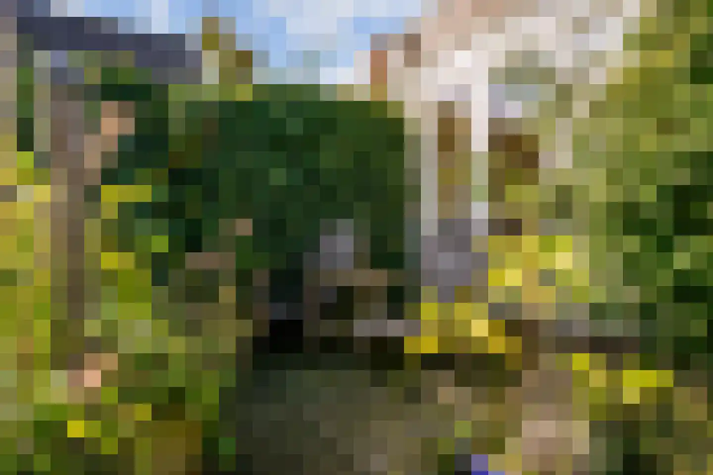 Uiterweg 287 Aalsmeer thumbnail 26