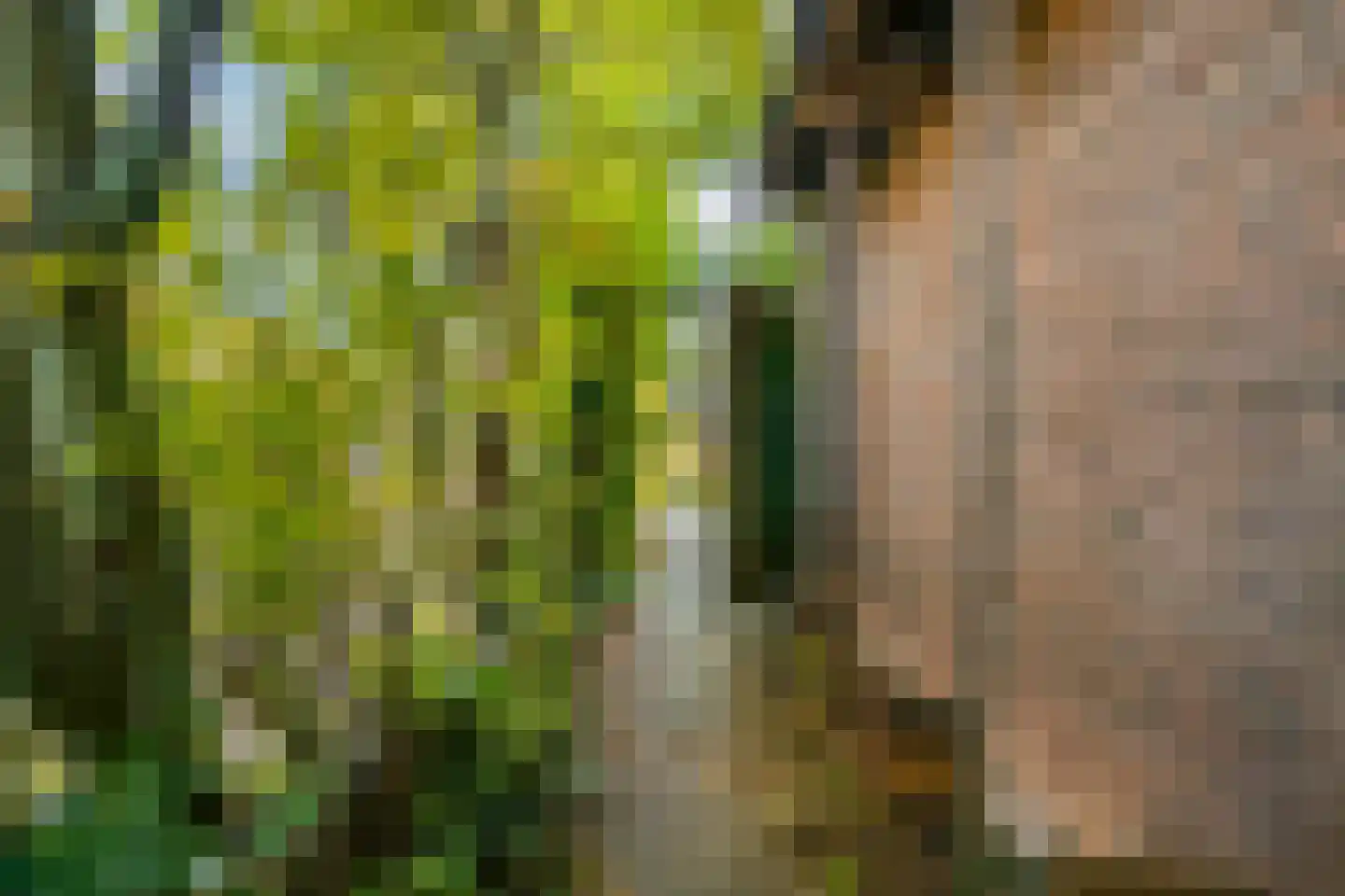Uiterweg 287 Aalsmeer thumbnail 34