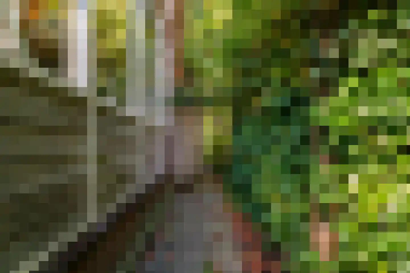 Uiterweg 287 Aalsmeer thumbnail 35