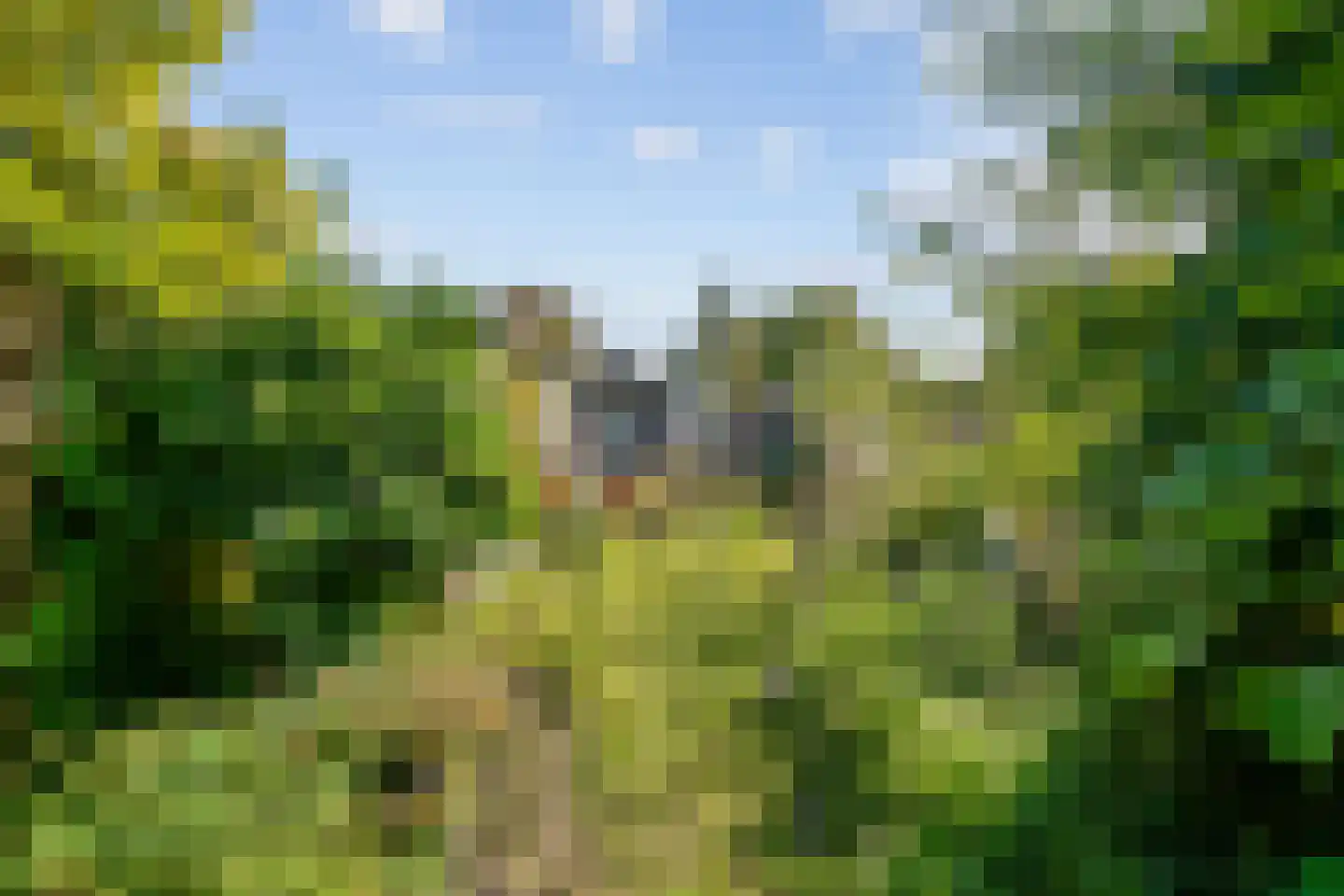 Uiterweg 287 Aalsmeer thumbnail 5