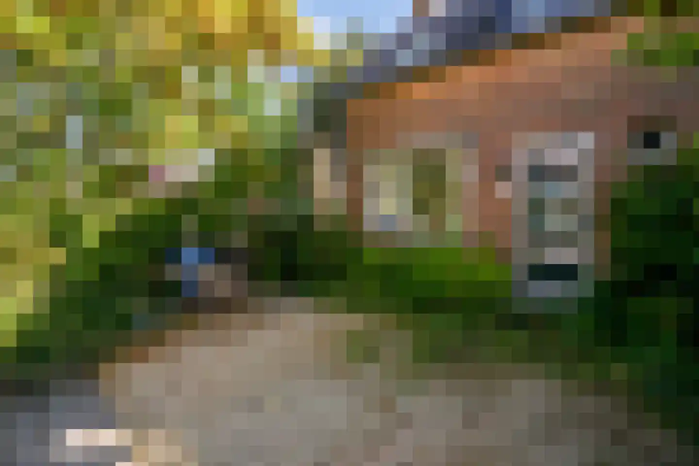 Uiterweg 287 Aalsmeer thumbnail 7