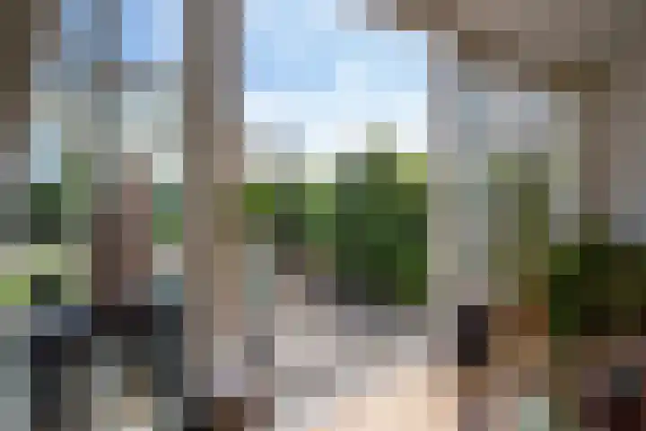 Uiterweg 309 Aalsmeer thumbnail 15