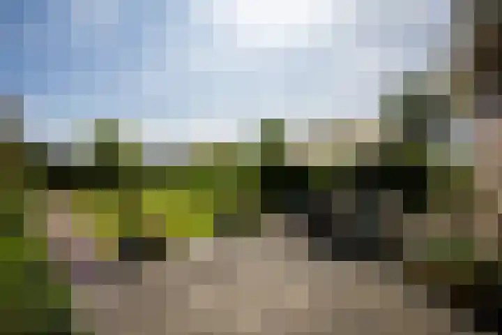 Uiterweg 309 Aalsmeer thumbnail 37