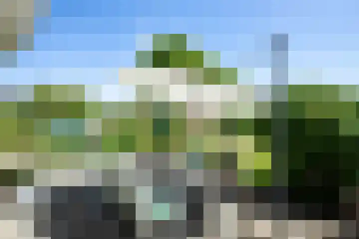 Uiterweg 309 Aalsmeer thumbnail 38
