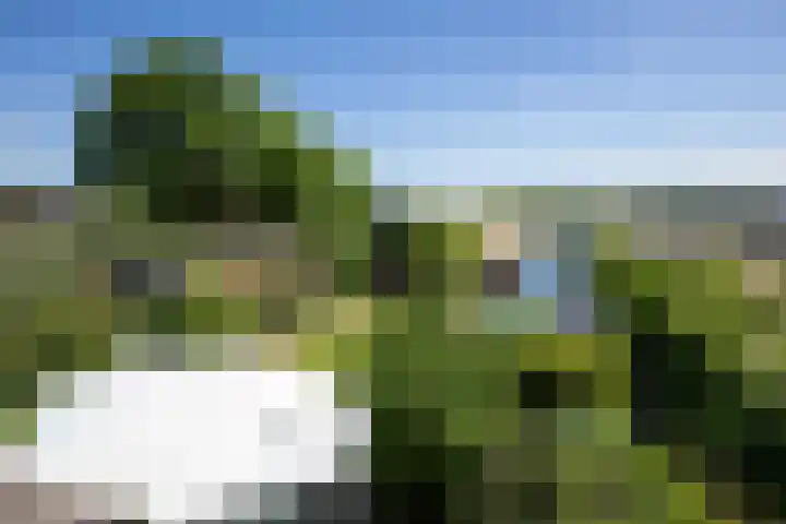 Uiterweg 309 Aalsmeer thumbnail 39