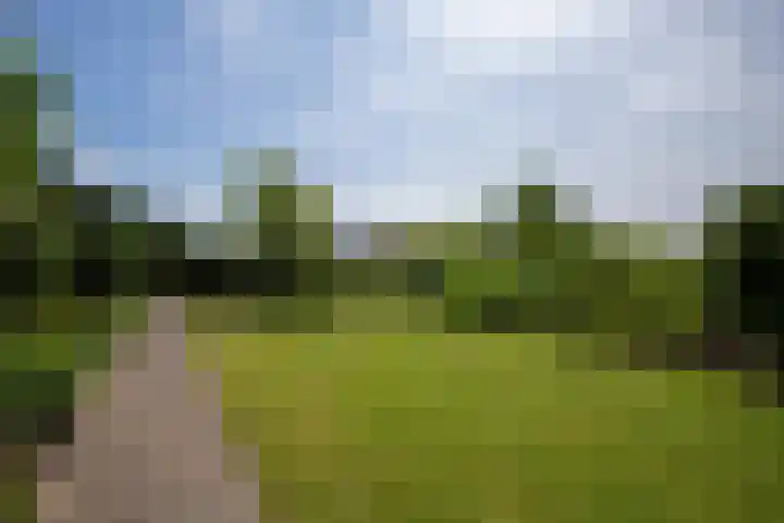 Uiterweg 309 Aalsmeer thumbnail 40