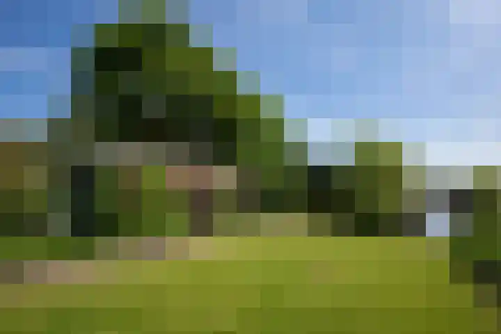 Uiterweg 309 Aalsmeer thumbnail 41