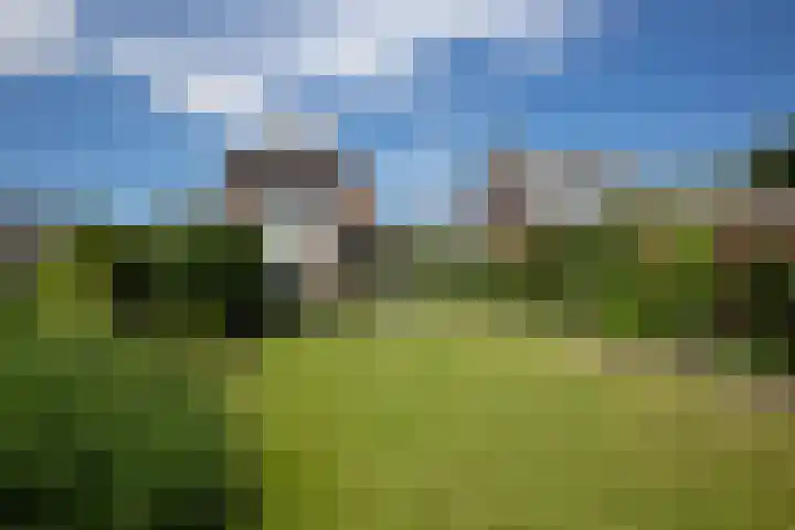 Uiterweg 309 Aalsmeer thumbnail 42