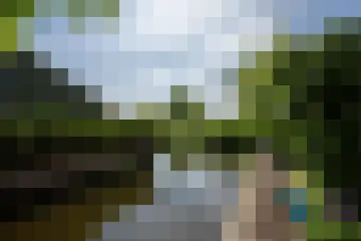 Uiterweg 309 Aalsmeer thumbnail 43