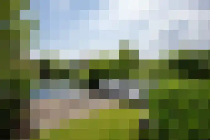 Uiterweg 309 Aalsmeer thumbnail 45