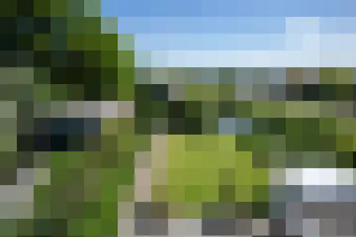 Uiterweg 309 Aalsmeer thumbnail 5