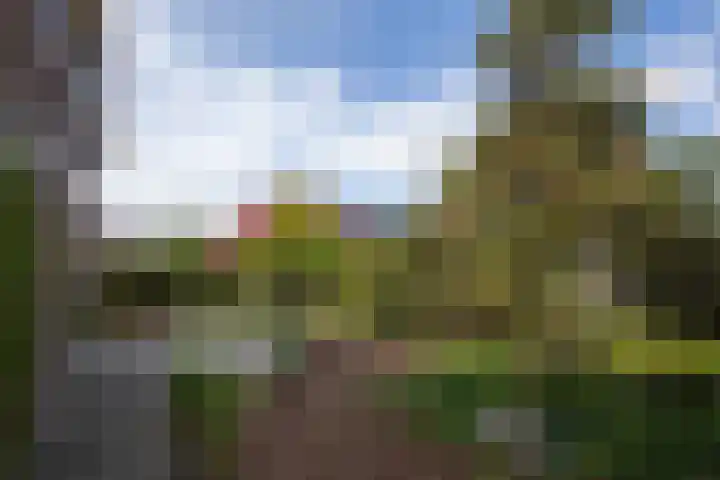 Uiterweg 309 Aalsmeer thumbnail 6