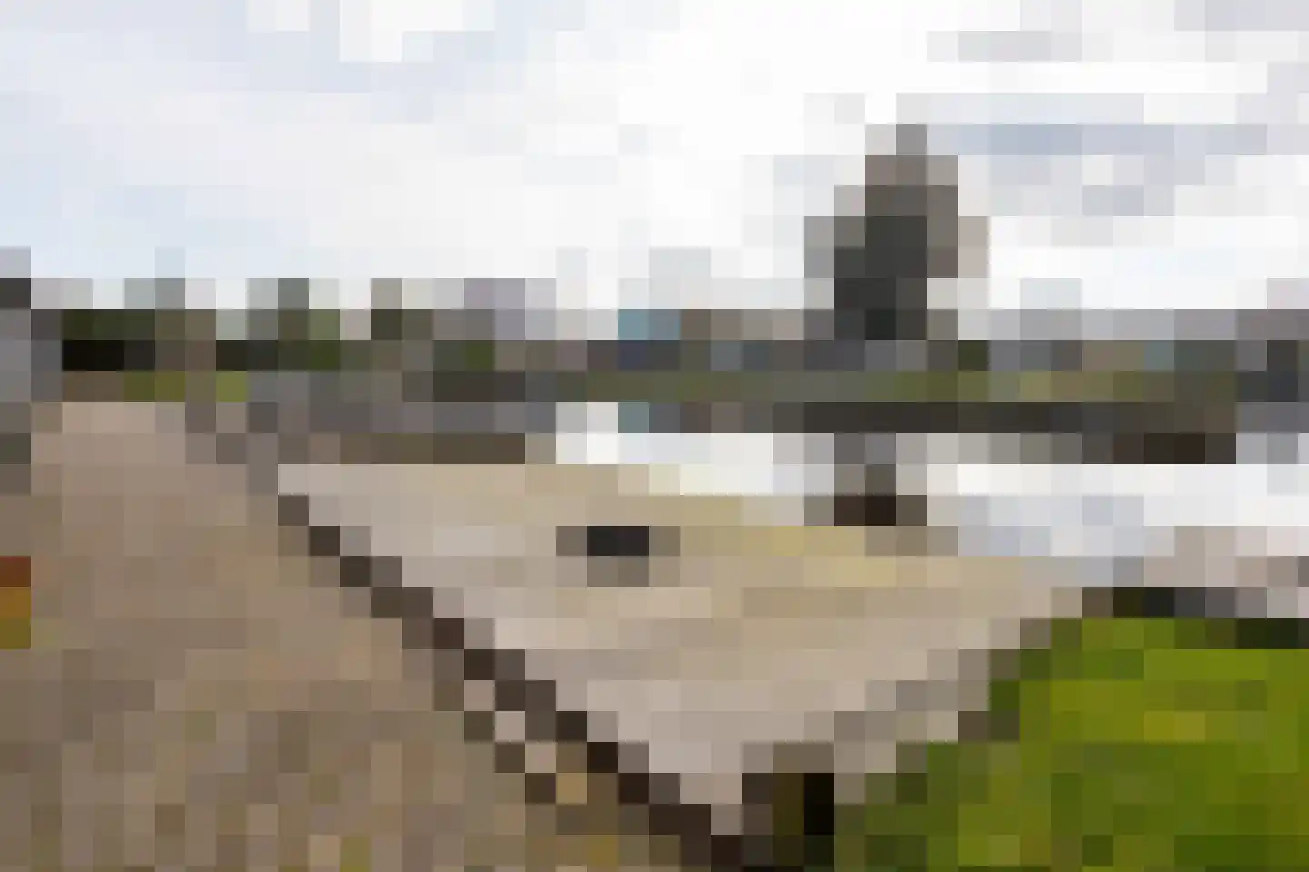 Uiterweg 341 Aalsmeer thumbnail 11