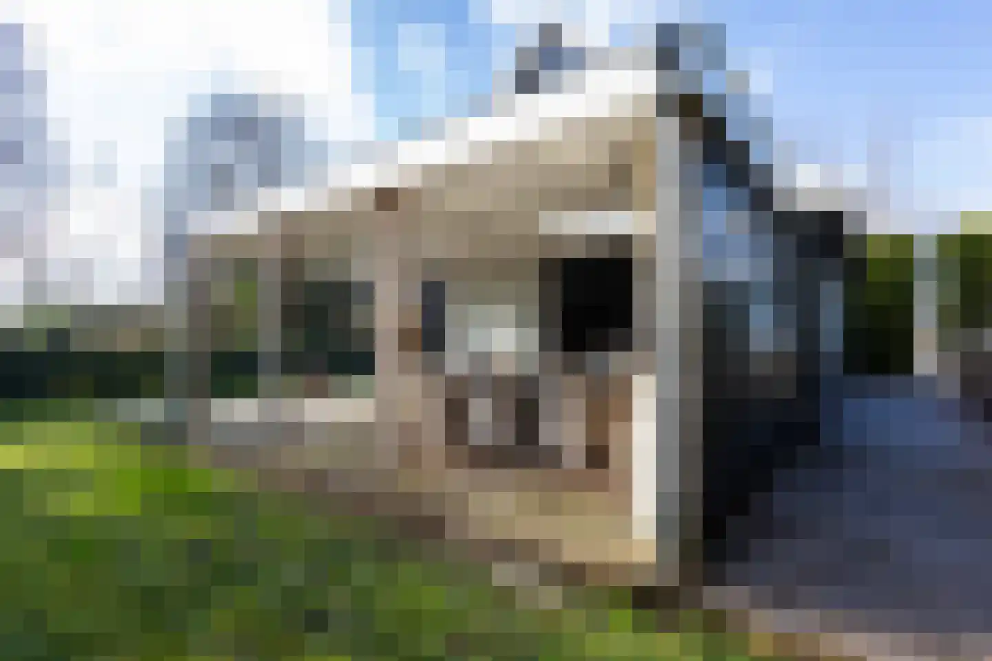 Uiterweg 341 Aalsmeer thumbnail 27