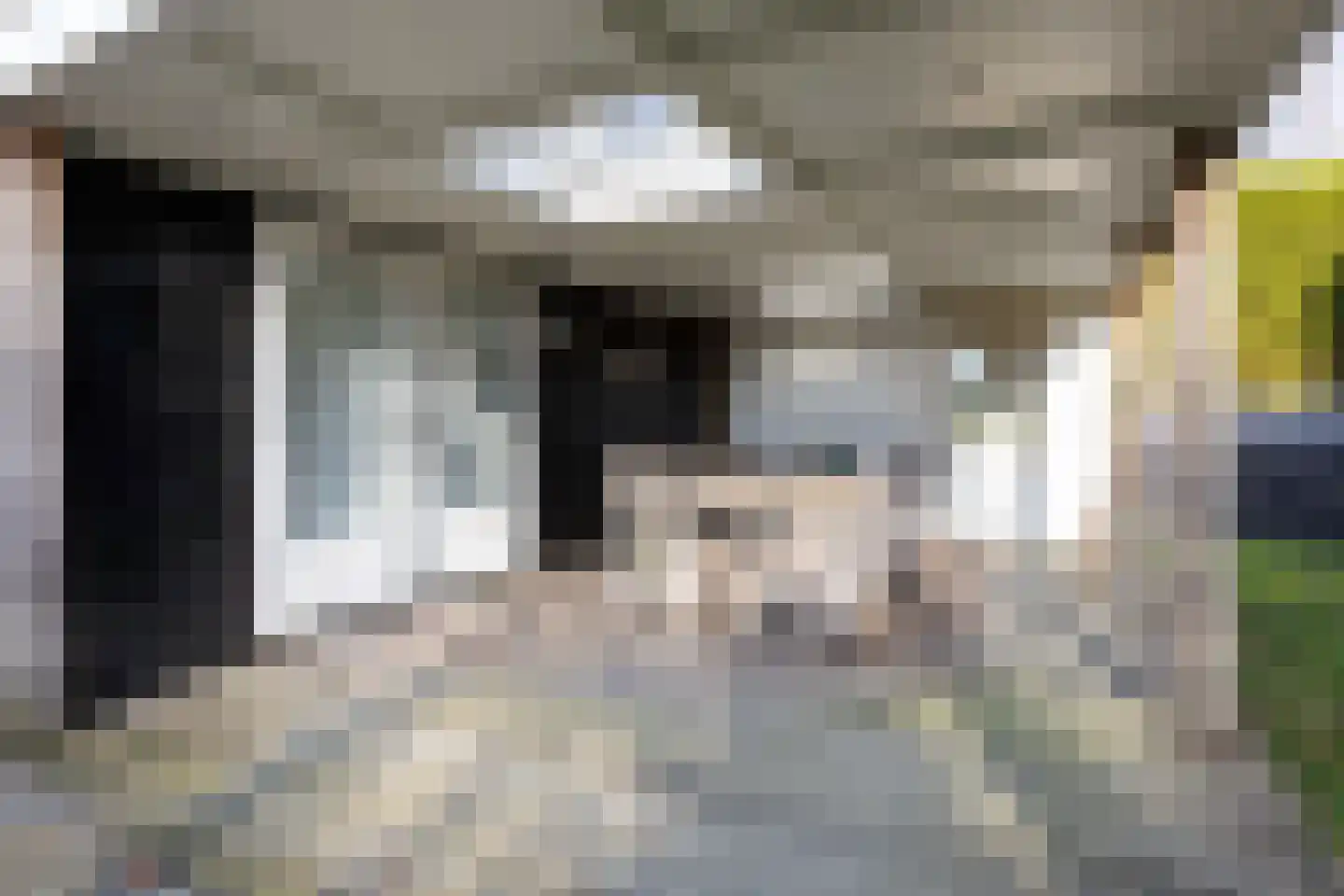 Uiterweg 341 Aalsmeer thumbnail 28