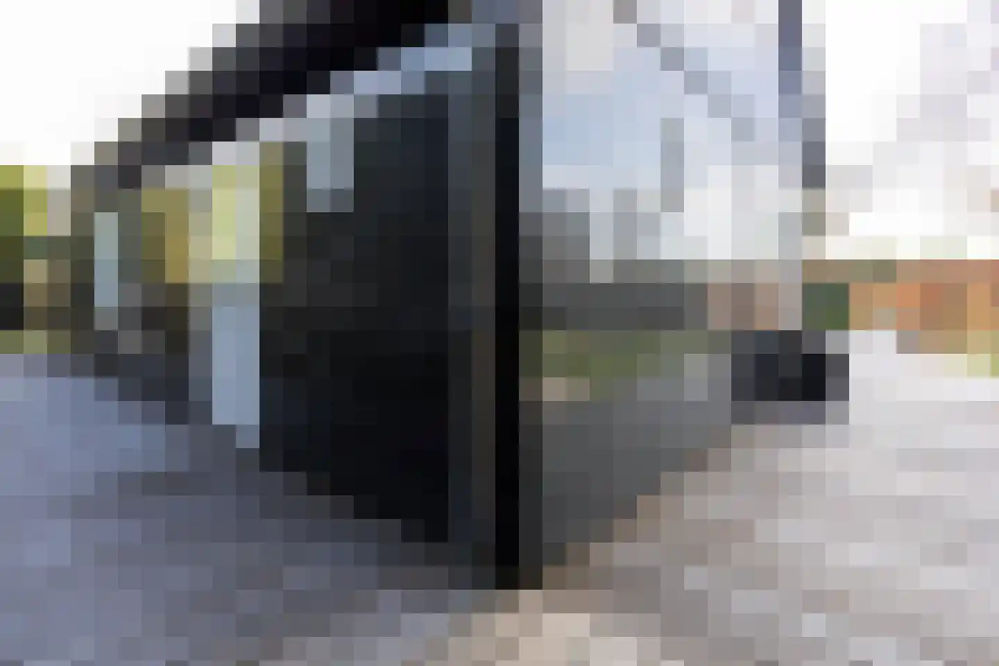 Uiterweg 341 Aalsmeer thumbnail 29