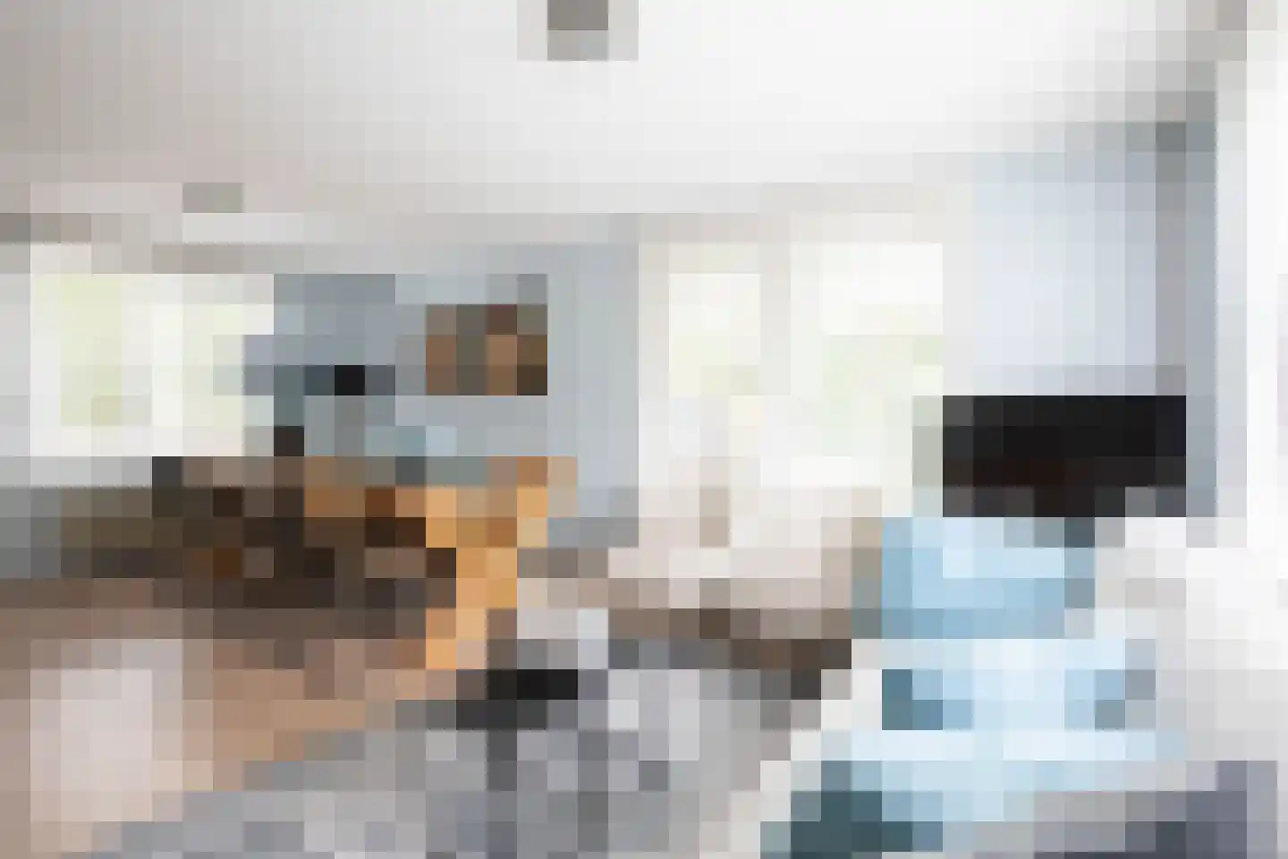 Uiterweg 341 Aalsmeer thumbnail 33