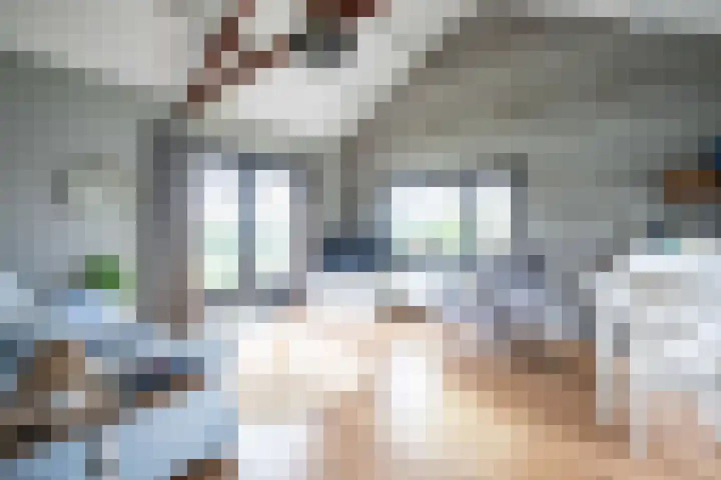 Uiterweg 341 Aalsmeer thumbnail 38