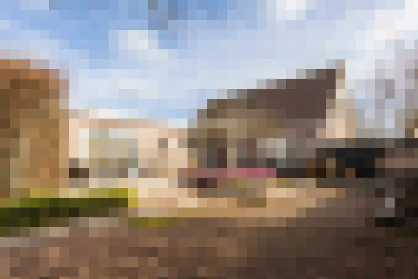 Uiterweg 341 Aalsmeer thumbnail 4