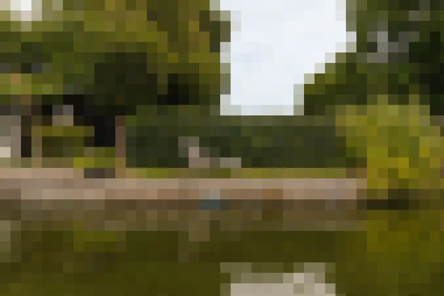 Uiterweg 377 ws8 Aalsmeer thumbnail 18