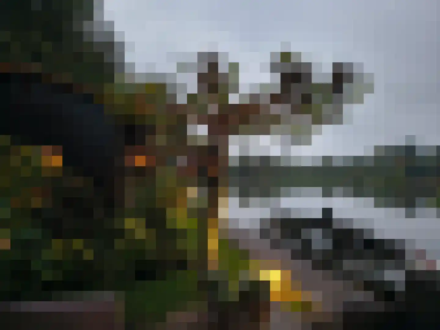 Uiterweg 377 ws8 Aalsmeer thumbnail 20