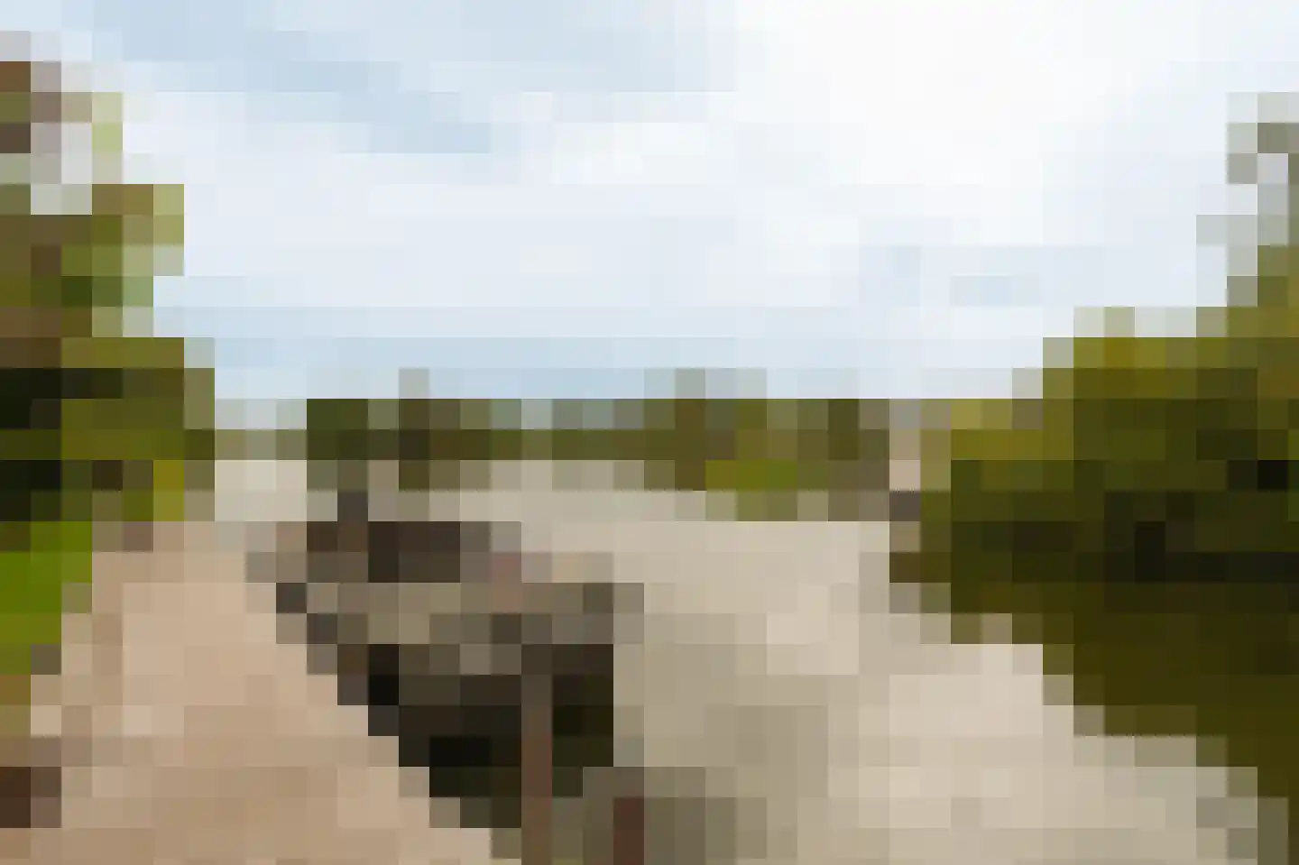 Uiterweg 377 ws8 Aalsmeer thumbnail 21
