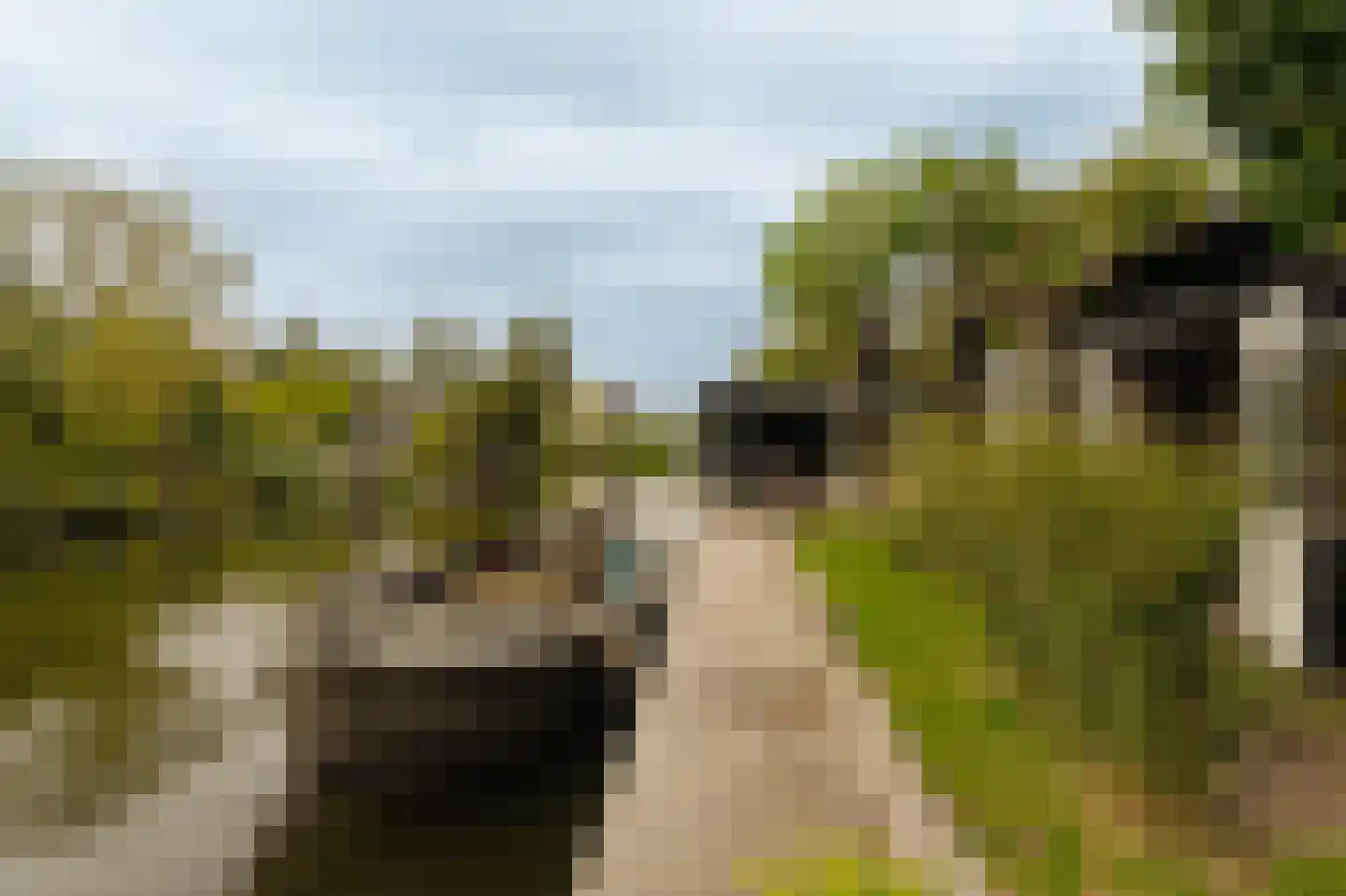 Uiterweg 377 ws8 Aalsmeer thumbnail 4