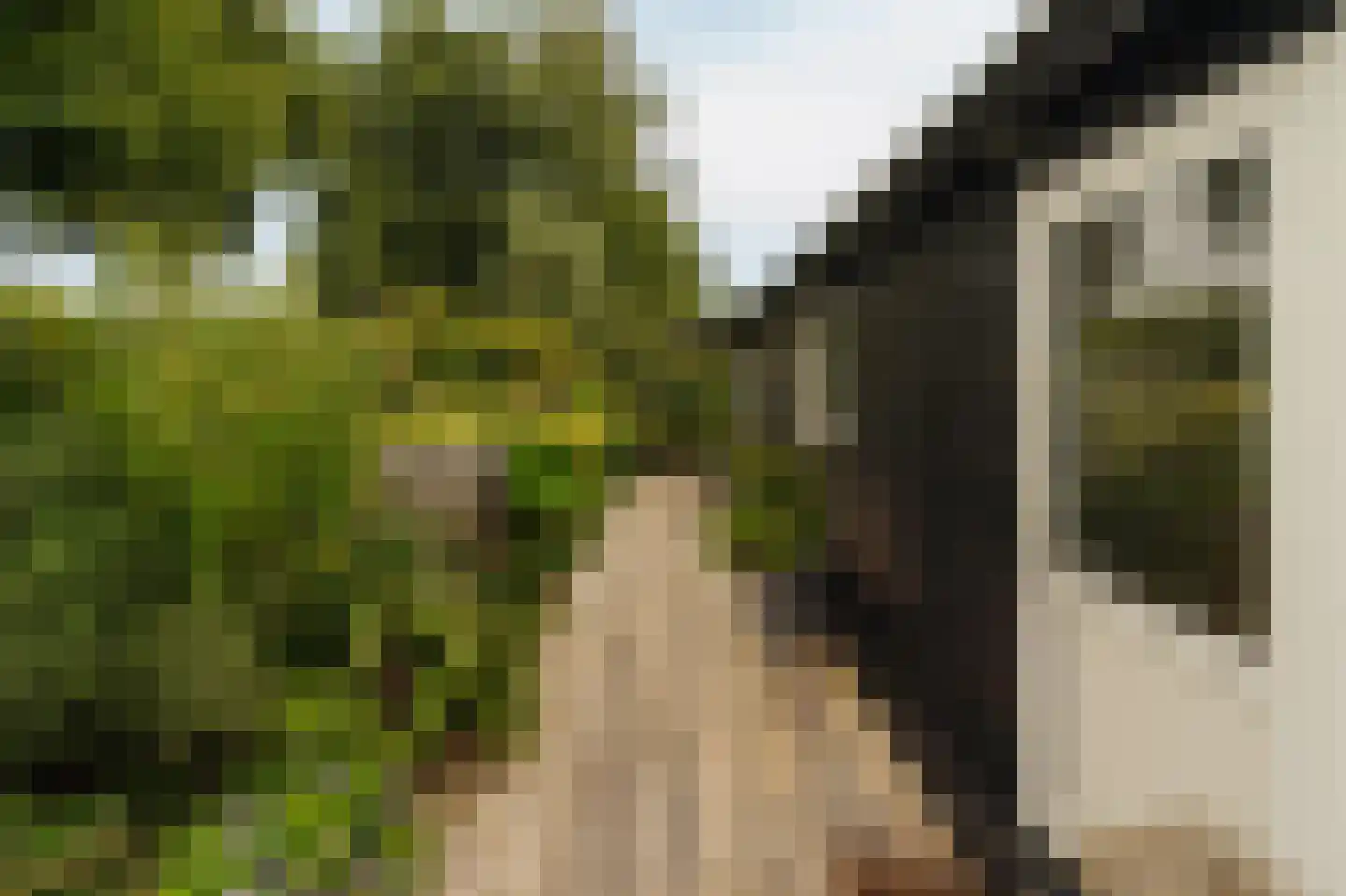 Uiterweg 377 ws8 Aalsmeer thumbnail 5