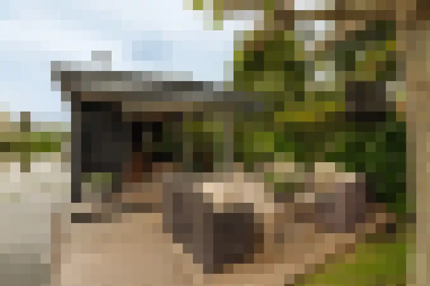 Uiterweg 377 ws8 Aalsmeer thumbnail 6