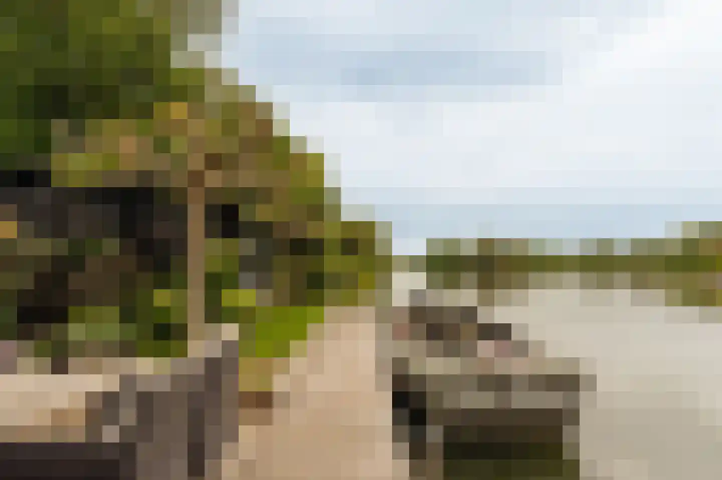 Uiterweg 377 ws8 Aalsmeer thumbnail 7