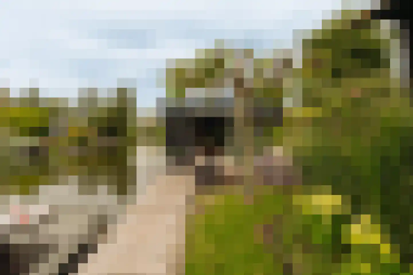 Uiterweg 377 ws8 Aalsmeer thumbnail 8
