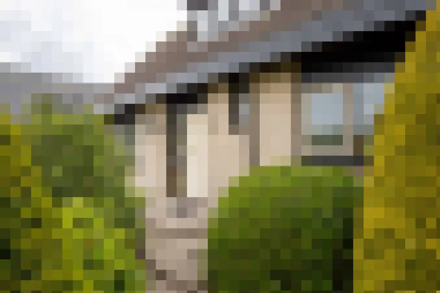 Uiterweg 418 Aalsmeer thumbnail 6