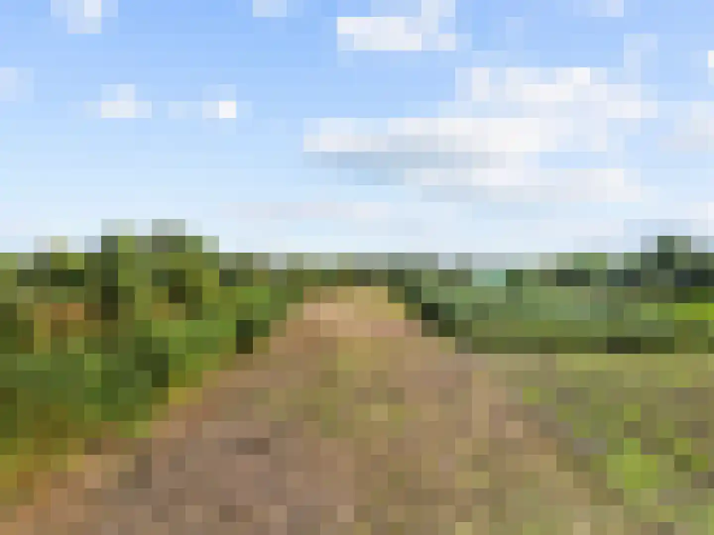 Uiterweg 58 Aalsmeer thumbnail 35