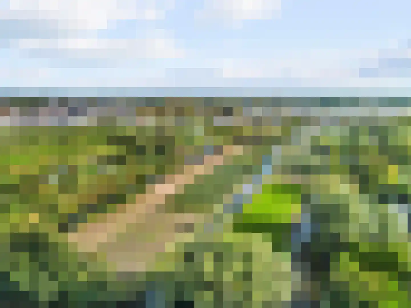 Uiterweg 58 Aalsmeer thumbnail 39