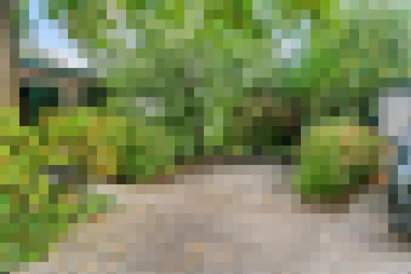 Uiterweg 58 Aalsmeer thumbnail 43