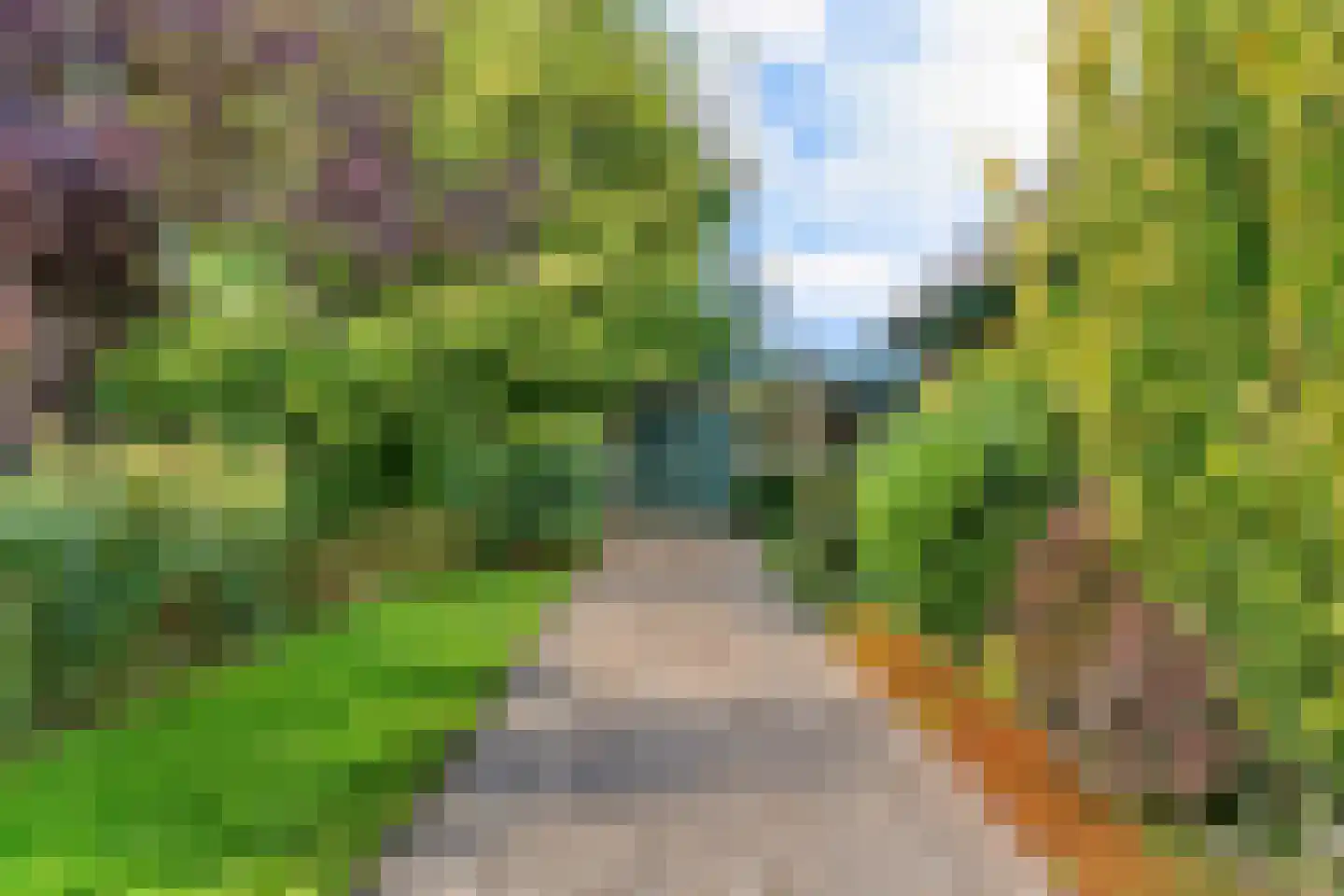 Uiterweg 58 Aalsmeer thumbnail 44