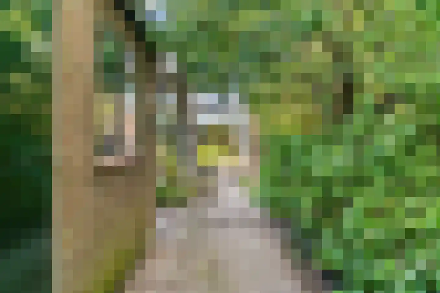 Uiterweg 58 Aalsmeer thumbnail 49