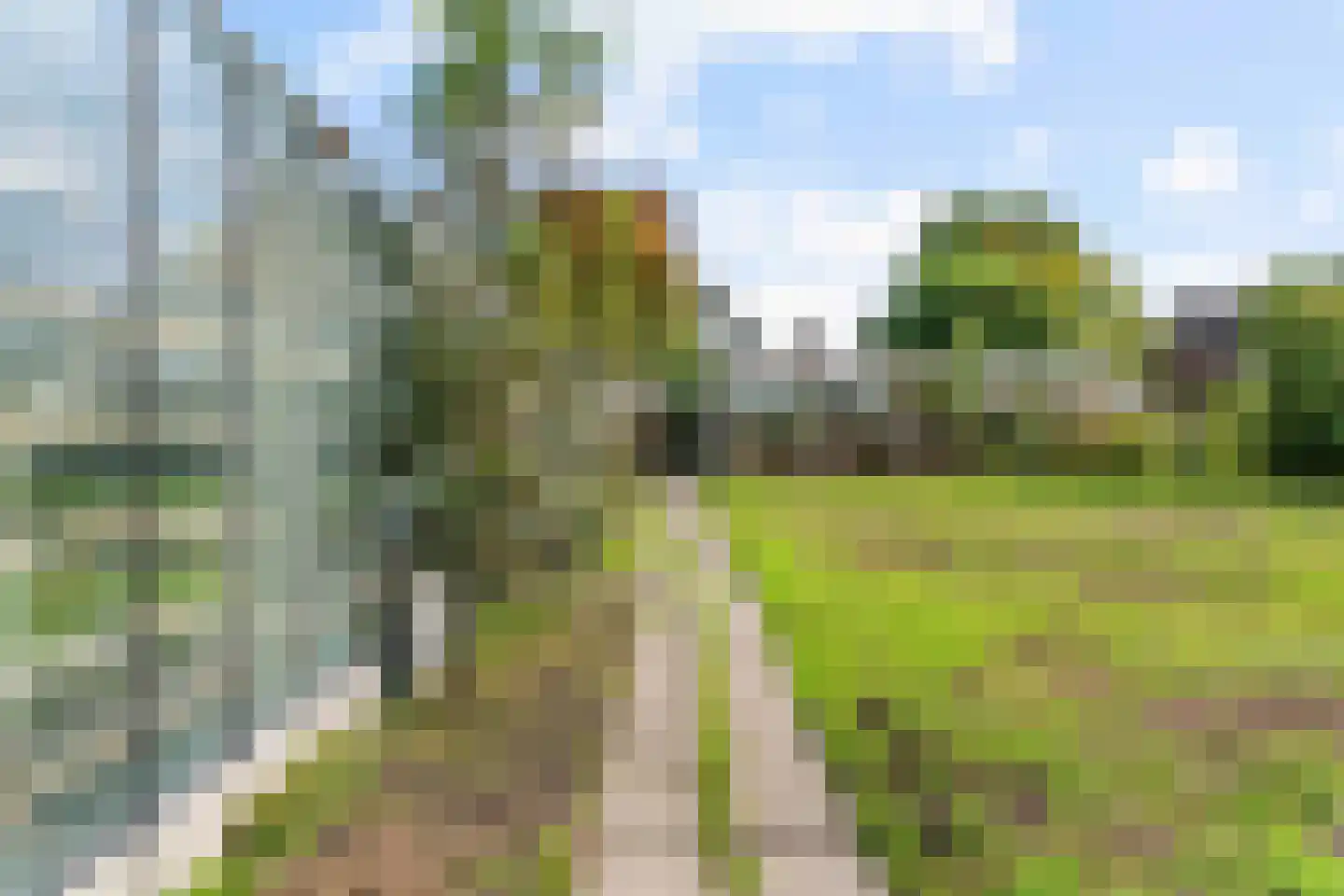 Uiterweg 58 Aalsmeer thumbnail 54