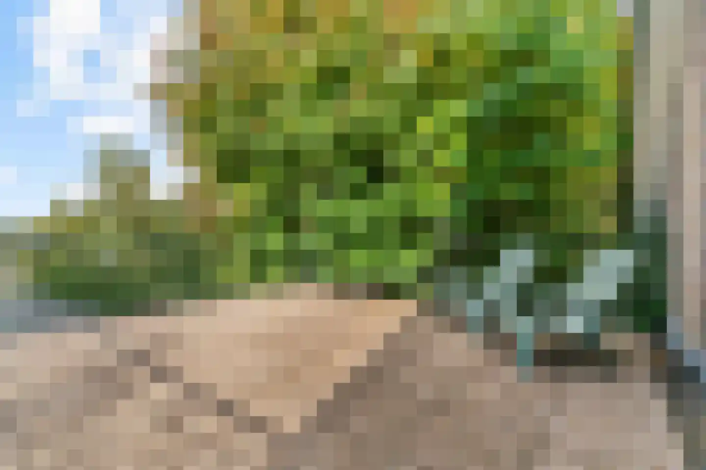 Uiterweg 58 Aalsmeer thumbnail 57