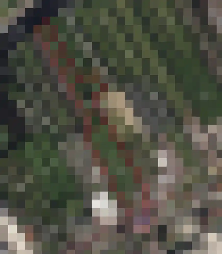 Uiterweg 58 Aalsmeer thumbnail 6