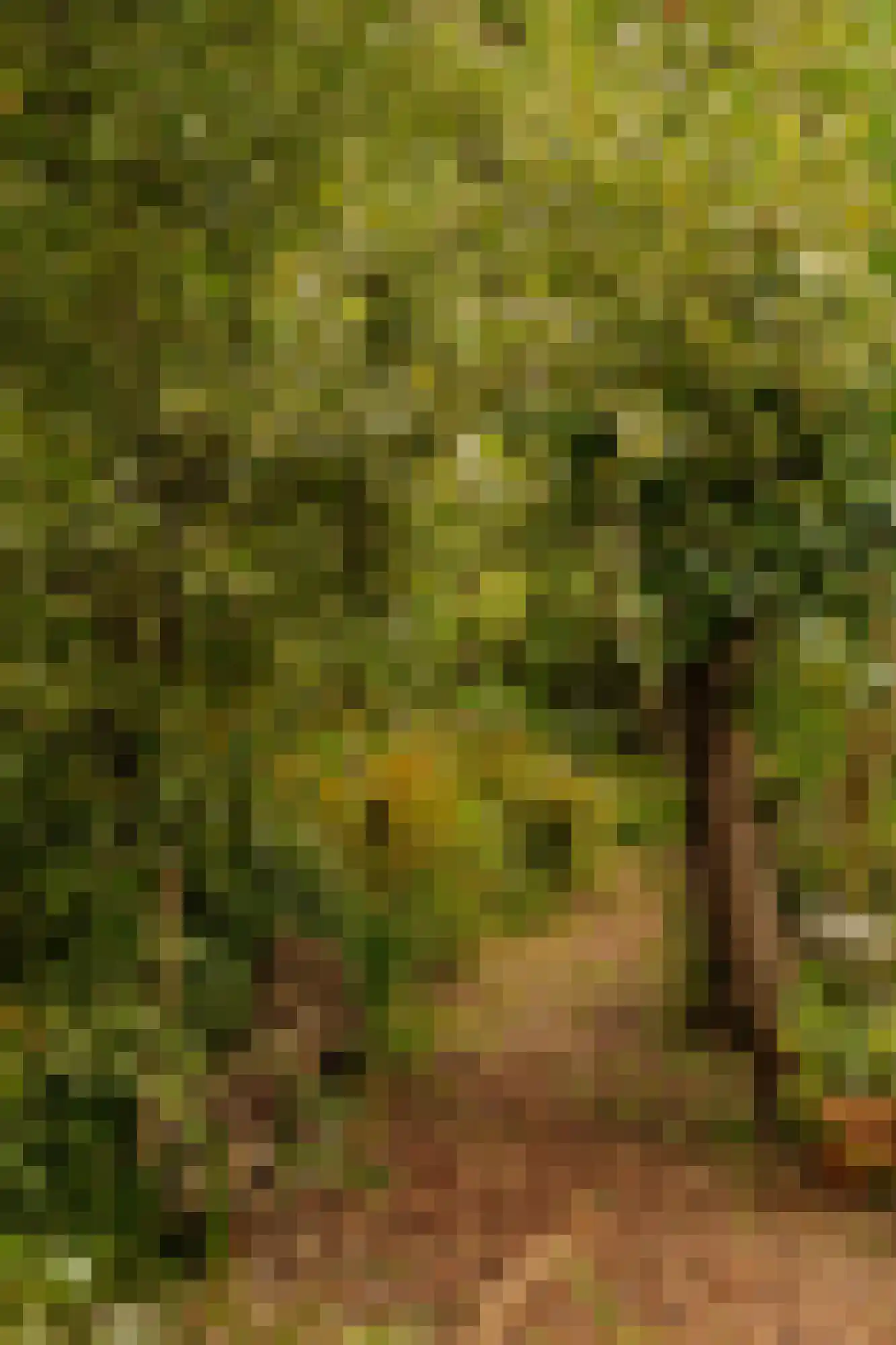 Uiterweg Aalsmeer thumbnail 12